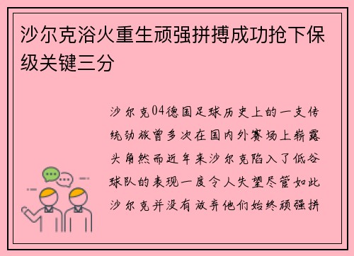 沙尔克浴火重生顽强拼搏成功抢下保级关键三分
