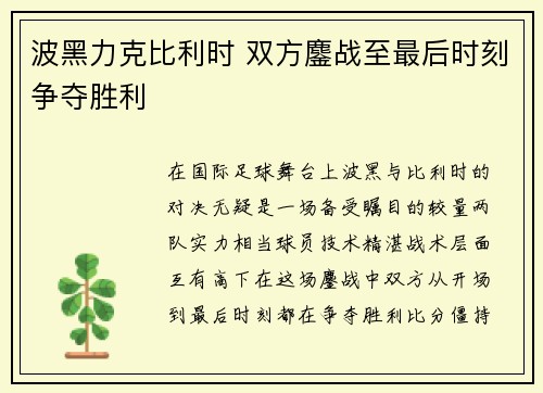波黑力克比利时 双方鏖战至最后时刻争夺胜利